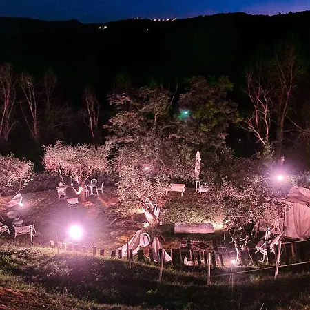 Oda ve Kahvaltı Tamara Country & 4*